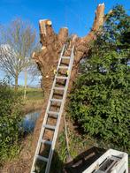 wilgen hout, Ophalen, Zo goed als nieuw, Minder dan 2 meter