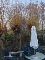 Gratis Wilgentakken, Ophalen