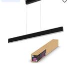 Hue ensis, Ophalen of Verzenden, Nieuw