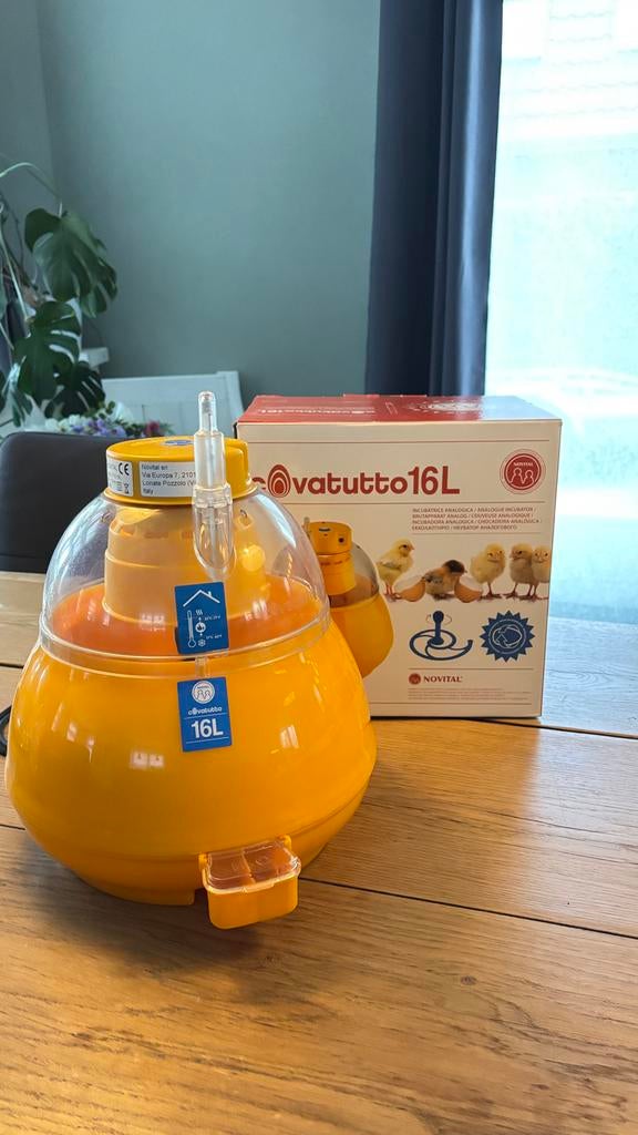 Zo goed als nieuwe Covatutto 16L broedmachine, Ophalen, Zo goed als nieuw, Broedmachine