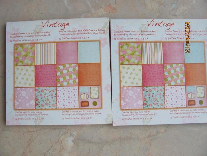 NIEUW 2 x papier VINTAGE paperpad PASTEL 12 DESIGNS Flowers, Hobby en Vrije tijd, Kaarten | Zelf maken, Nieuw, Overige typen, Overige thema's