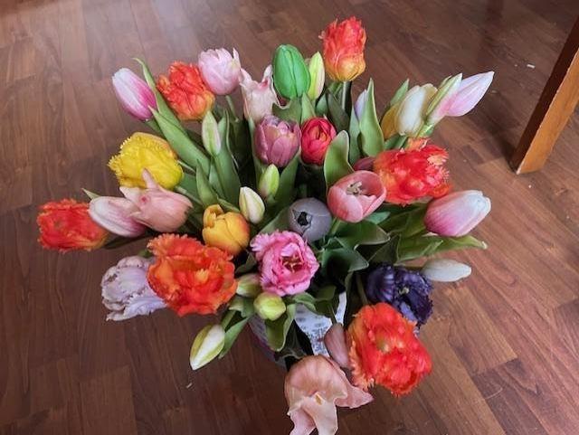 kunsttulpen real touch mix 50 stuks, Ophalen of Verzenden, Nieuw