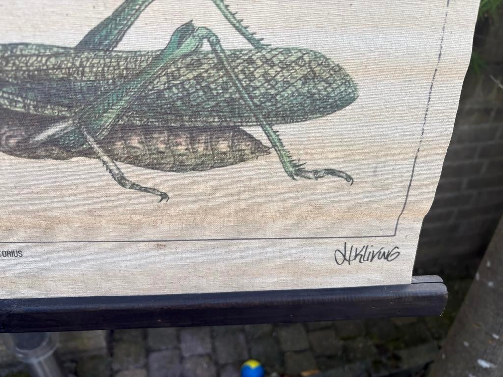 HKliving Linnen Wandkleed Insecten Vintage Stijl, Huis en Inrichting, Vintage, Zo goed als nieuw, Met ophangsysteem, 100 cm