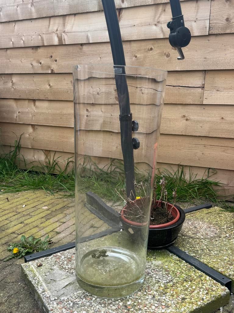Grote glazen cilinder vaas / windlicht, Huis en Inrichting, Woonaccessoires | Vazen, Gebruikt, Overige kleuren, 50 tot 75 cm, Ophalen of Verzenden
