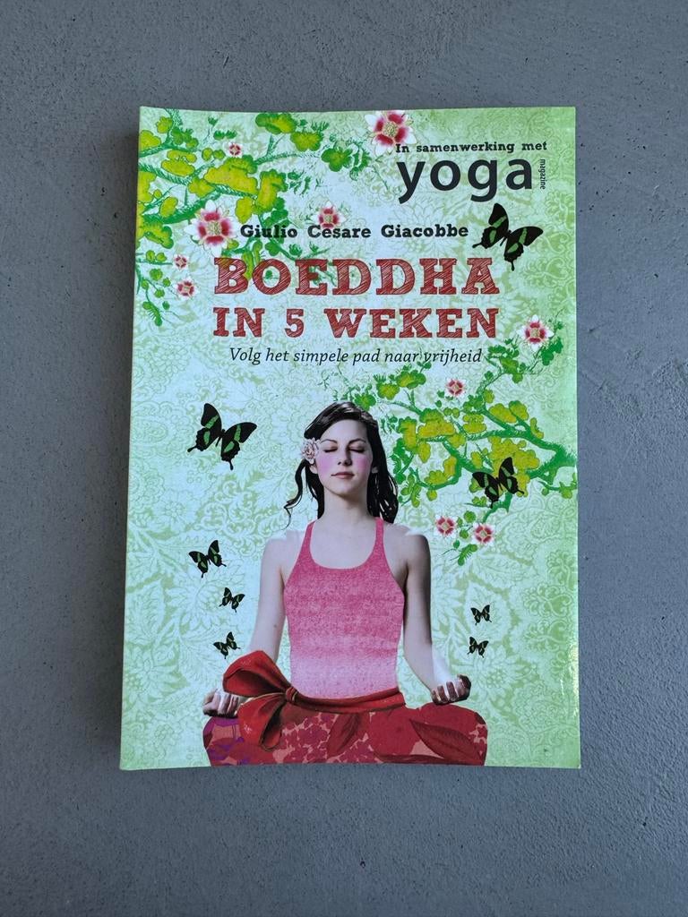 Boeddha in 5 Weken: Volg het simpele pad naar vrijheid, Boeken, Esoterie en Spiritualiteit, Ophalen of Verzenden, Gelezen, Meditatie of Yoga