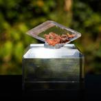 seleniet uit durango, mexico #12, Ophalen of Verzenden, Mineraal