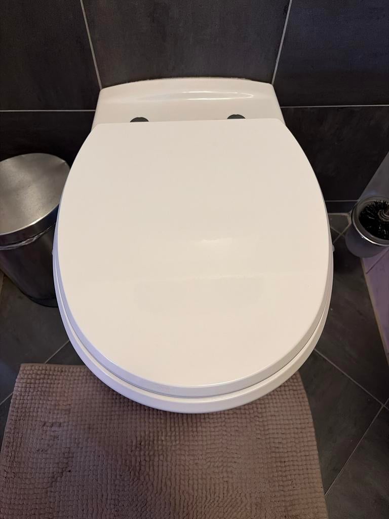 Sphinx Vrij Hangend Luxe Toilet met Houten Zitting, Doe-het-zelf en Verbouw, Sanitair, Ophalen of Verzenden, Zo goed als nieuw