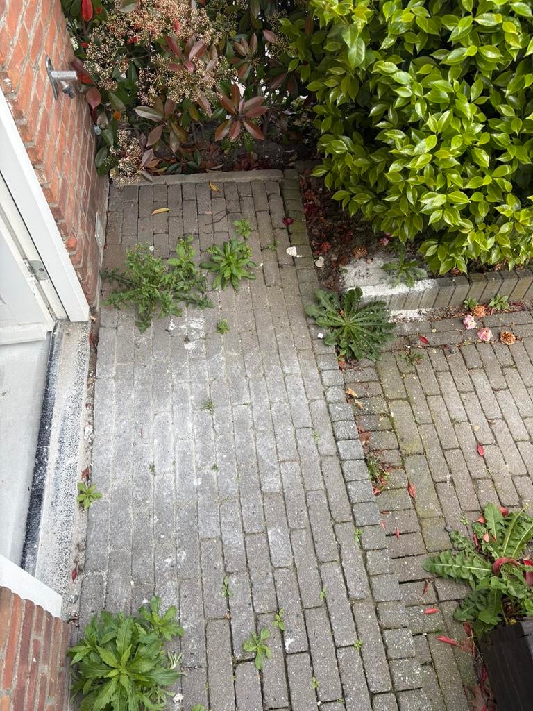 GRATIS AFHALEN BREDA BESTRATING, GRIND, BEPLANTING EN BAKKEN, Ophalen, Gebruikt, Klinkers, 10 m² of meer