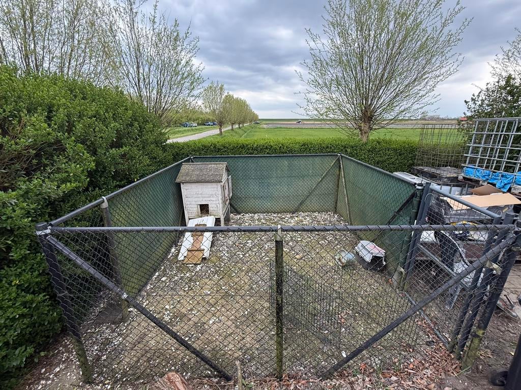 Kippenren dieren ren., Ophalen, Kippenhok of Kippenren