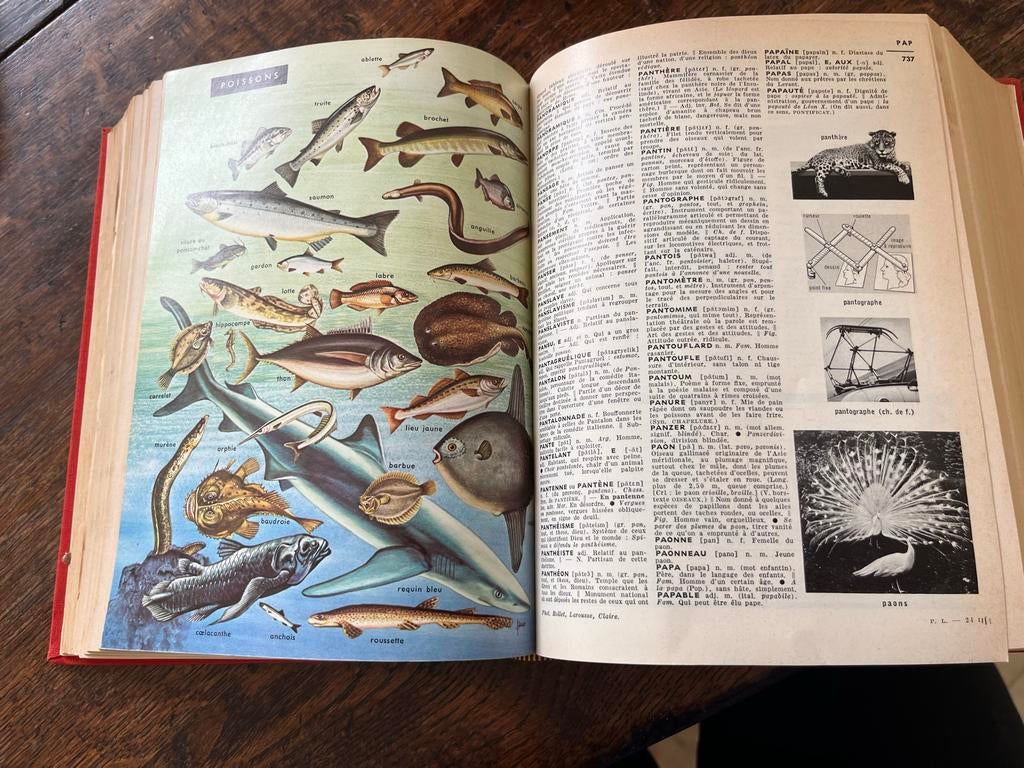 Nouveau Petit Larousse Illustré - Vintage Encyclopedie, Verzenden, Gelezen, Algemeen, Los deel