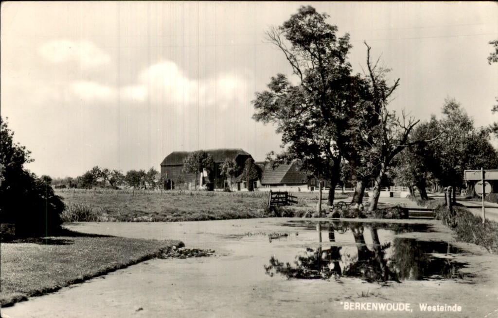 Berkenwoude - Westeinde - Boerderij, Ophalen of Verzenden, 1960 tot 1980, Gelopen, Zuid-Holland