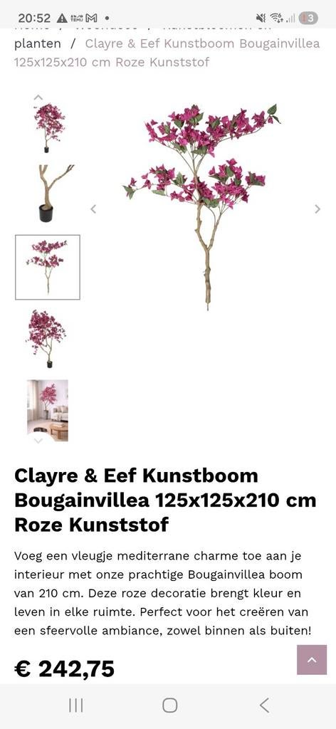 Kunstbloemen en kunstplanten kopen? | DKW Woonvision
