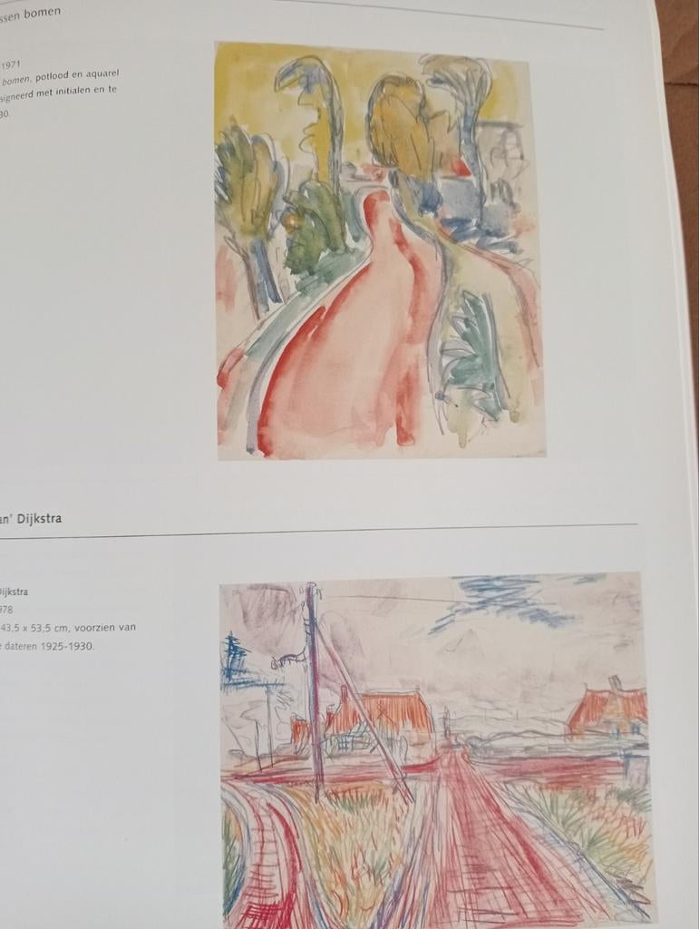 Groninger Ploeg Bergense School Neo Impressionisten, Ophalen of Verzenden, Gelezen