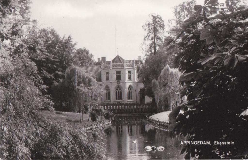 appingedam  gron  ekenstein, Verzamelen, Ansichtkaarten | Nederland, Noord-Brabant, Voor 1920, Ophalen of Verzenden