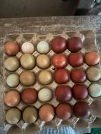 Pluimvee, Dieren en Toebehoren, Ophalen of Verzenden, Drinken en Voederen