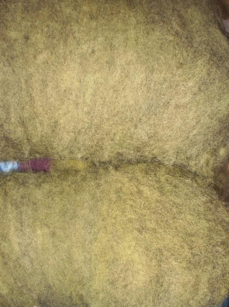 Pachtige geverfde tinten gekaarde schapenwol wol spinnewiel, Hobby en Vrije tijd, Ophalen of Verzenden, Nieuw, Spinwol