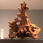 Uniek stuk Kienhout / Driftwood / Spiderwood, Hout Decoratie, Ophalen of Verzenden, Zo goed als nieuw, Plant(en), Steen of Hout