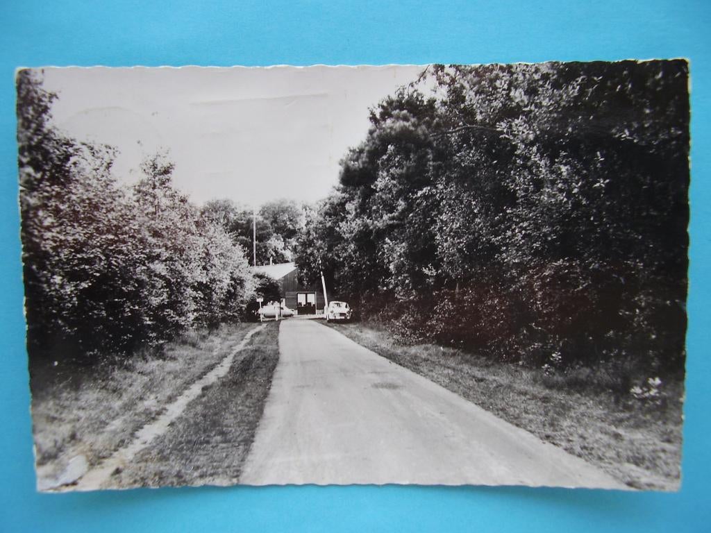 Alphen  N.Br.,   Camping Buitenlust, Ophalen of Verzenden, Voor 1920, Noord-Brabant
