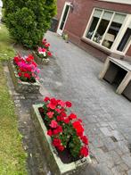 4 antieke Bentheimer zandstenen bakken - Alles 1 koop!, Steen, Gebruikt, 100 cm of meer, Ophalen of Verzenden