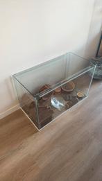 Te koop glazen hansterhok incl attributen, Gebruikt, 75 tot 110 cm, Ophalen, Minder dan 60 cm