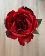 Prachtige grote rode roos, Ophalen of Verzenden, Zo goed als nieuw
