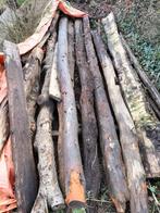 Houten boomstammen/balken, Minder dan 3 m³, Ophalen of Verzenden