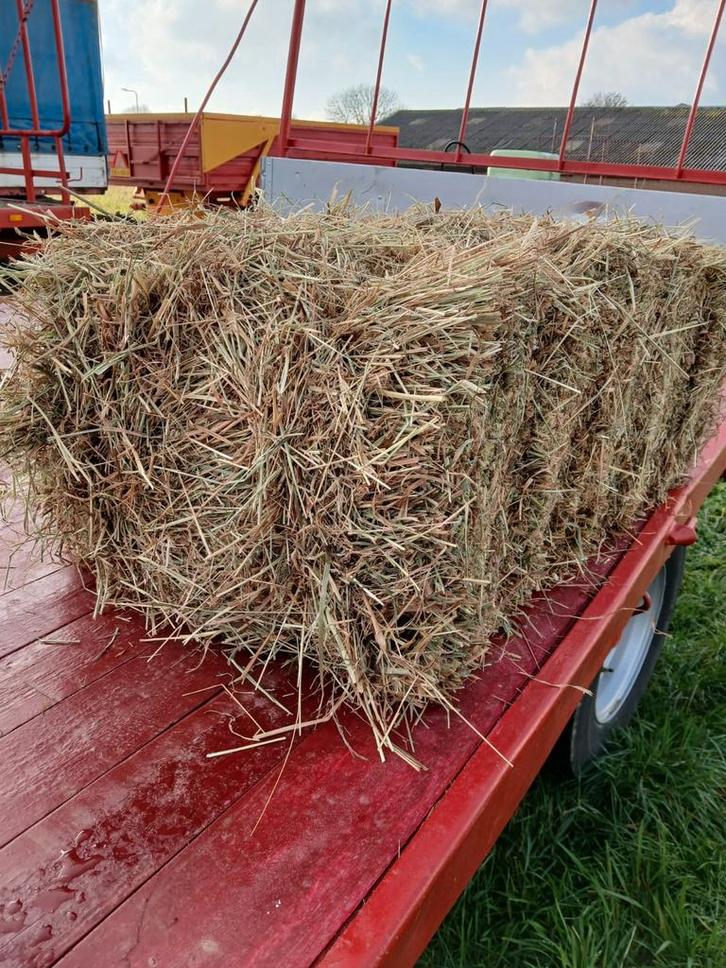 hooi in kleine balen, Dieren en Toebehoren, Dierenvoeding, Overige soorten, Ophalen