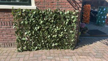 Wilge trellis met zij bladeren beschikbaar voor biedingen