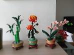 Lego Botanicals, Ophalen, Zo goed als nieuw, Complete set, Lego