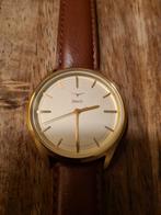 Nieuw: Originele Zinvo horloge dames/heren met leren band, Sieraden, Tassen en Uiterlijk, Ophalen of Verzenden, Staal, Overige merken