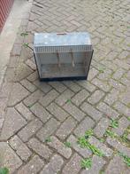 Grootte tt kooi, Ophalen, Zo goed als nieuw, Hout, Vogelkooi