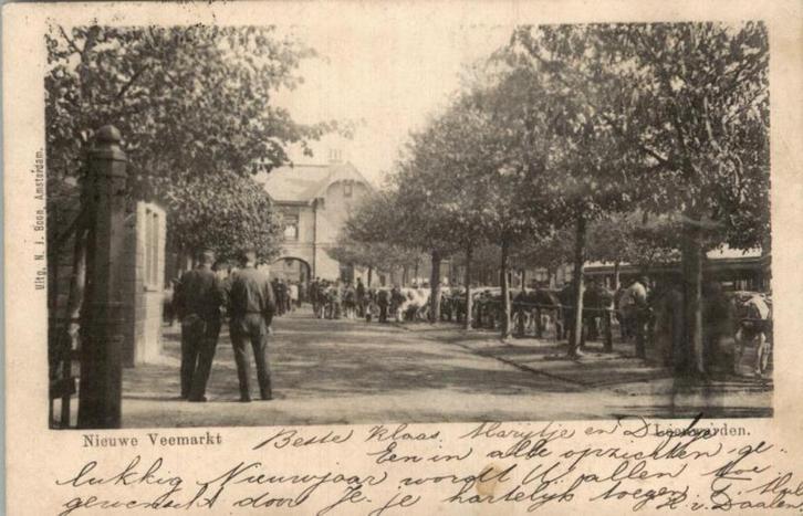 Leeuwarden Nieuwe Veemarkt  Koeien  st 1903 uitg N.J. Boon, Verzamelen, Ansichtkaarten | Nederland, Gelopen, Friesland, Voor 1920