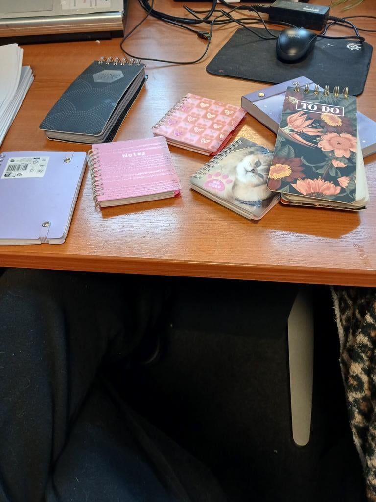 Schrijfboekjes van de action, Hobby en Vrije tijd, Ophalen of Verzenden, Boek of Gids