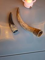 Twee Koeienhoren - Decoratief, Tuin en Terras, Tuinbeelden, Ophalen of Verzenden, Zo goed als nieuw, Overige materialen, Dierenbeeld