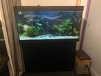 Juwel Aquarium, inclusief onderkast en accessoires, Dieren en Toebehoren, Vissen | Aquaria en Toebehoren, Ophalen of Verzenden