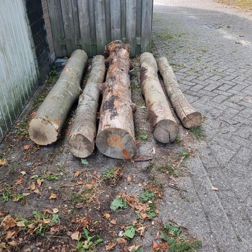 Boomstammen te koop, Doe-het-zelf en Verbouw, Hout en Planken, Gebruikt, Balk, Overige houtsoorten, Minder dan 200 cm, 50 mm of meer