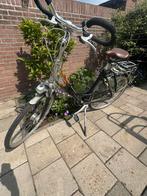 Gazelle damesfiets frame 53, Fietsen en Brommers, Fietsen | Dames | Damesfietsen, 53 tot 56 cm, Ophalen, Zo goed als nieuw, Gazelle