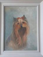 Olieverfschilderij Yorkshire terriër 40x50, Antiek en Kunst, Kunst | Schilderijen | Modern, Ophalen
