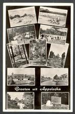 Oude Ansicht - Appelscha - Groeten uit Appelscha 1960 - Frl., Ophalen of Verzenden, 1940 tot 1960, Gelopen, Friesland
