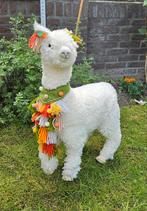 Lama, Ophalen