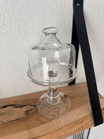 Glazen stolp op voet – elegant en stijlvol decorstuk beschikbaar voor biedingen