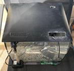 Aquarium merk Fluval 34 L met pomp compleet, Zoetwatervis