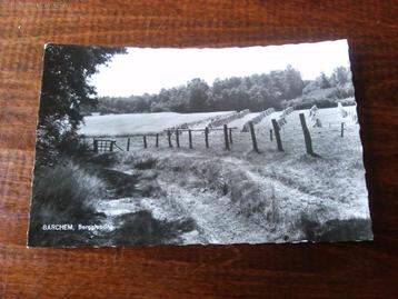Y33 - Barchem - Bergglooiing - Mooi/Oud beschikbaar voor biedingen