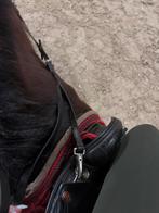 Verzorgster/bijrijder aangeboden verzorg pony gezocht!, Ophalen of Verzenden, Zo goed als nieuw