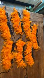 Loopgroep vogel kraag, Ophalen of Verzenden, Zo goed als nieuw, Carnaval