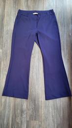 Studio Anneloes Flair MT XXL, Kleding | Dames, Broeken en Pantalons, Studio Anneloes, Paars, Maat 46/48 (XL) of groter, Ophalen of Verzenden