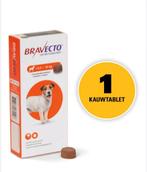 Bravecto kauwtablet voor kleine honden (4,5 - 10Kg), Ophalen of Verzenden, Nieuw