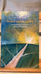 H. van Dam - In het rechte spoor, Ophalen of Verzenden, Zo goed als nieuw, H. van Dam