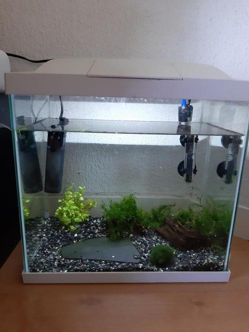 Superfish aquarium, Dieren en Toebehoren, Vissen | Aquaria en Toebehoren, Leeg aquarium, Ophalen