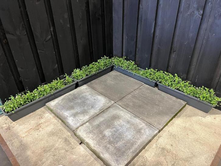 NIEUWE BETON TEGELS! Smartton 60x60x5 AMIATA 25,92m2, Tuin en Terras, Tegels en Klinkers, Nieuw, Terrastegels, Beton, 10 m² of meer